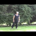 Exploring the Five Movement Centers