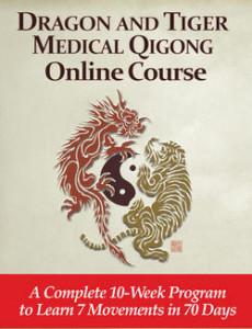 Dragon-and-Tiger-Online-Course-Cover